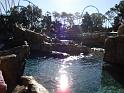 Sea World-6